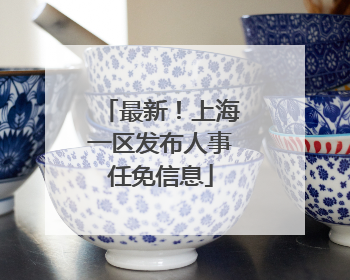 最新！上海一区发布人事任免信息