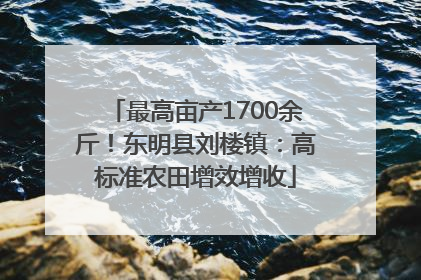 最高亩产1700余斤！东明县刘楼镇：高标准农田增效增收
