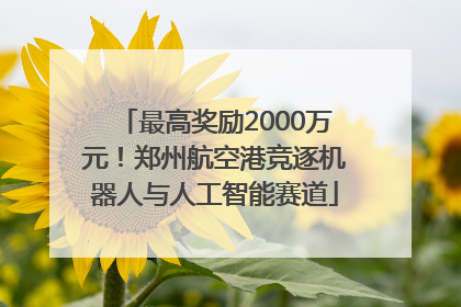 最高奖励2000万元！郑州航空港竞逐机器人与人工智能赛道