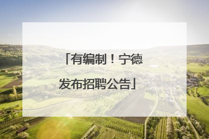 有编制！宁德发布招聘公告