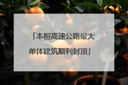 本桓高速公路最大单体建筑顺利封顶