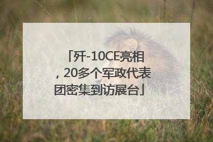 歼-10CE亮相，20多个军政代表团密集到访展台