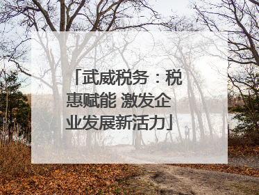 武威税务：税惠赋能 激发企业发展新活力