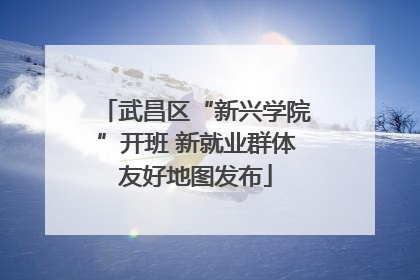 武昌区“新兴学院”开班 新就业群体友好地图发布