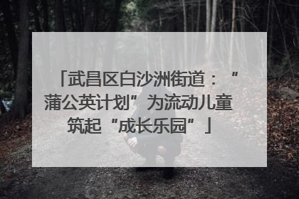 武昌区白沙洲街道：“蒲公英计划”为流动儿童筑起“成长乐园”