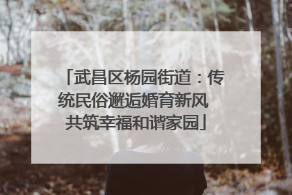 武昌区杨园街道：传统民俗邂逅婚育新风 共筑幸福和谐家园