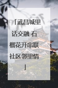武昌城里话交融 石榴花开串联社区邻里情