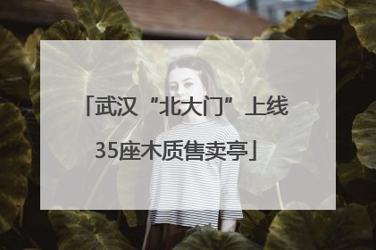 武汉“北大门”上线35座木质售卖亭