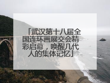 武汉第十八届全国连环画展交会精彩启幕，唤醒几代人的集体记忆
