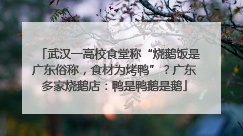 武汉一高校食堂称“烧鹅饭是广东俗称，食材为烤鸭”？广东多家烧鹅店：鸭是鸭鹅是鹅