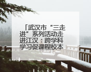 武汉市“三走进”系列活动走进江汉：跨学科学习促课程校本化升级