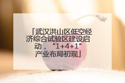 武汉洪山区低空经济综合试验区建设启动，“1+4+1”产业布局初现