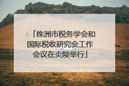 株洲市税务学会和国际税收研究会工作会议在炎陵举行
