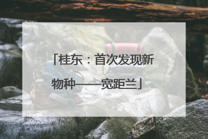 桂东：首次发现新物种——宽距兰