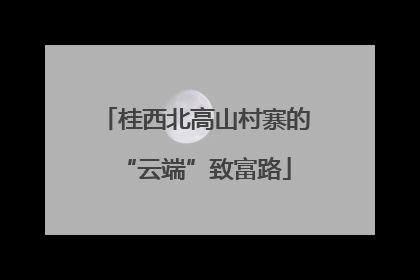 桂西北高山村寨的“云端”致富路