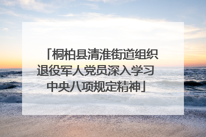 桐柏县清淮街道组织退役军人党员深入学习中央八项规定精神