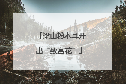 梁山粉木耳开出“致富花”