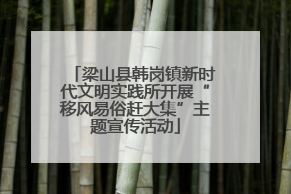 梁山县韩岗镇新时代文明实践所开展“移风易俗赶大集”主题宣传活动
