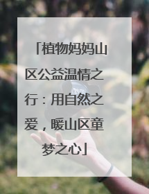 植物妈妈山区公益温情之行：用自然之爱，暖山区童梦之心