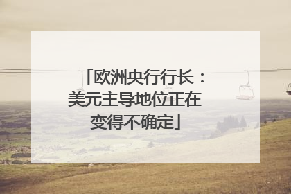 欧洲央行行长：美元主导地位正在变得不确定
