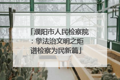 濮阳市人民检察院：擎法治文明之炬 谱检察为民新篇