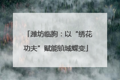 潍坊临朐：以“绣花功夫”赋能镇域蝶变