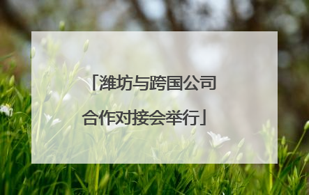 潍坊与跨国公司合作对接会举行