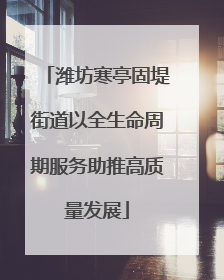 潍坊寒亭固堤街道以全生命周期服务助推高质量发展