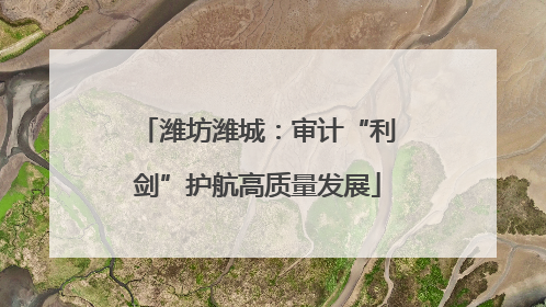 潍坊潍城：审计“利剑”护航高质量发展