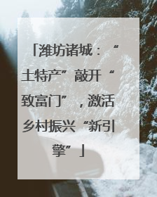 潍坊诸城：“土特产”敲开“致富门”，激活乡村振兴“新引擎”