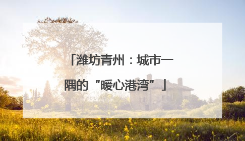 潍坊青州：城市一隅的“暖心港湾”