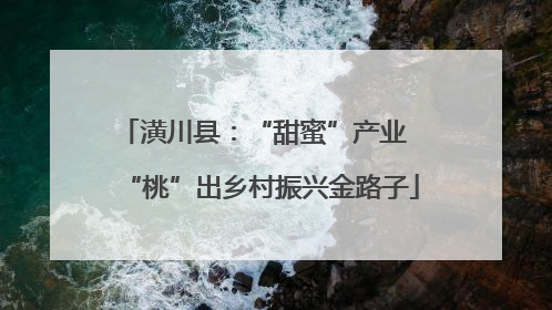 潢川县：“甜蜜”产业  “桃”出乡村振兴金路子