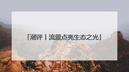 潮评丨流萤点亮生态之光
