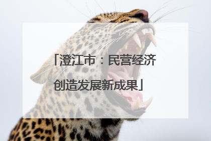 澄江市：民营经济创造发展新成果