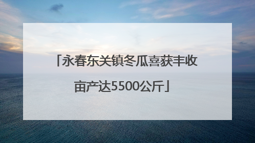 永春东关镇冬瓜喜获丰收 亩产达5500公斤