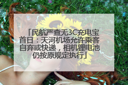 民航严查无3C充电宝首日：天河机场允许乘客自弃或快递，相机锂电池仍按原规定执行