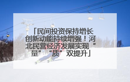 民间投资保持增长 创新动能持续增强！河北民营经济发展实现“量”“质”双提升