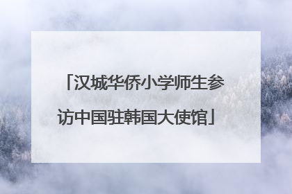 汉城华侨小学师生参访中国驻韩国大使馆