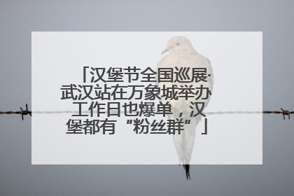 汉堡节全国巡展·武汉站在万象城举办 工作日也爆单，汉堡都有“粉丝群”