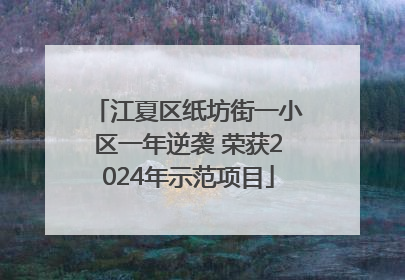 江夏区纸坊街一小区一年逆袭 荣获2024年示范项目