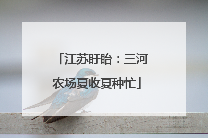 江苏盱眙：三河农场夏收夏种忙