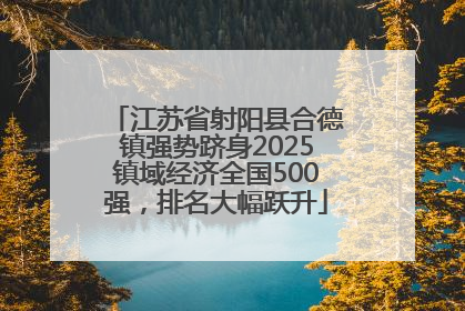 江苏省射阳县合德镇强势跻身2025镇域经济全国500强，排名大幅跃升