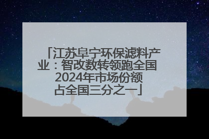 江苏阜宁环保滤料产业：智改数转领跑全国 2024年市场份额占全国三分之一