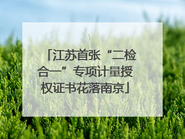 江苏首张“二检合一”专项计量授权证书花落南京