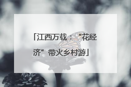 江西万载：“花经济”带火乡村游