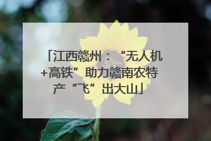 江西赣州：“无人机+高铁”助力赣南农特产“飞”出大山