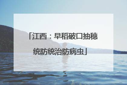江西：早稻破口抽穗 统防统治防病虫
