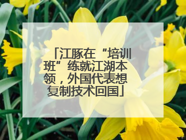 江豚在“培训班”练就江湖本领，外国代表想复制技术回国
