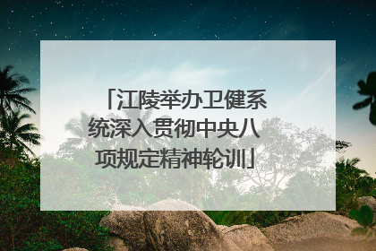 江陵举办卫健系统深入贯彻中央八项规定精神轮训