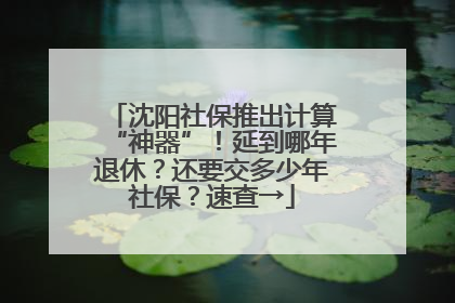 沈阳社保推出计算“神器”！延到哪年退休？还要交多少年社保？速查→